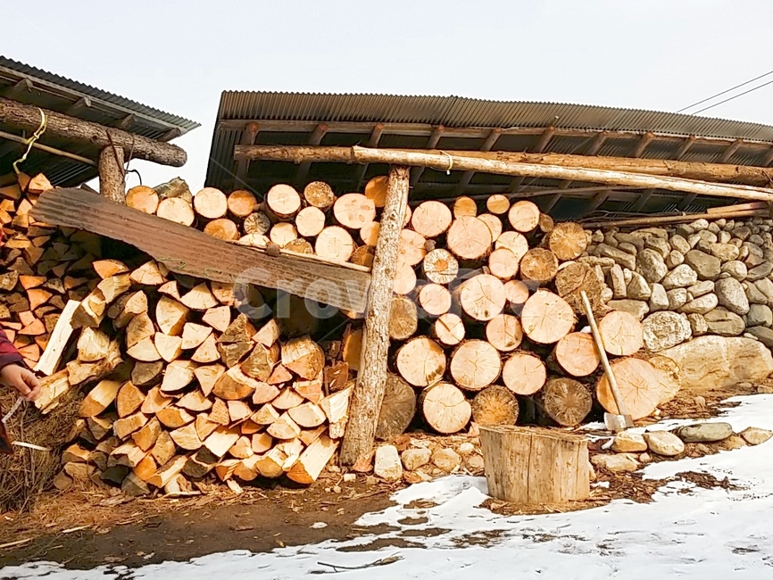 장작,뒷마당,겨울,겨울나기,옛날모습,장작모음,풍경,시골,시골풍경,wood,나무,lumber,재목,korea,tranditional,겨울,계절,winter,season