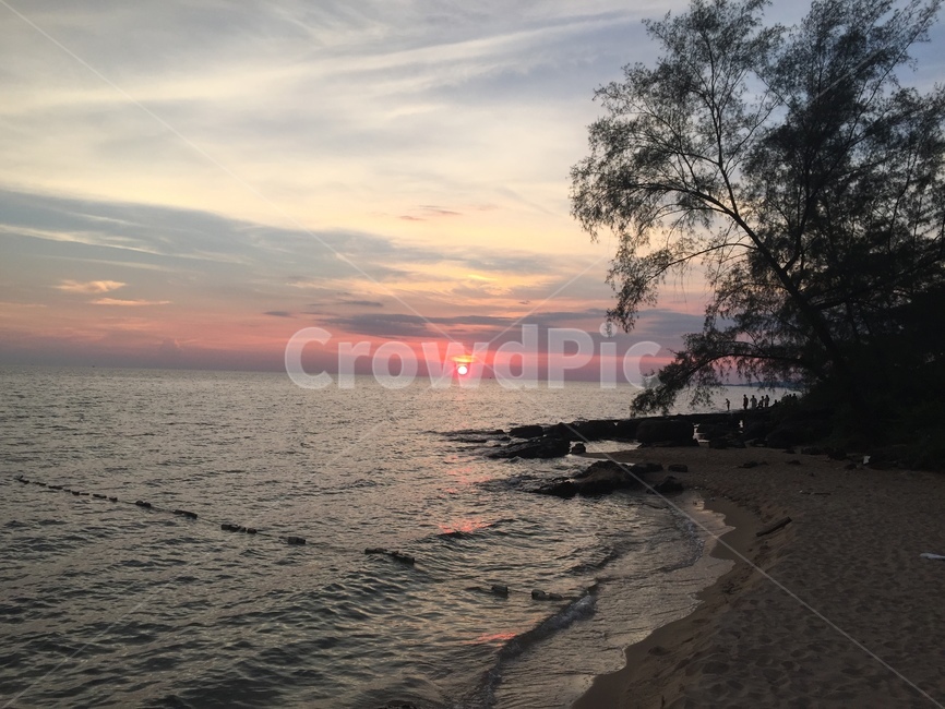 야경,붉은노을,바다,야자수,나이트,선셋,자연,풍경,nature,landscape,해변,바다,beach,sea,outdoors,옥외,sunset,일몰,red sky,붉은 하늘,sky,하늘,dusk,황혼,dawn,새벽