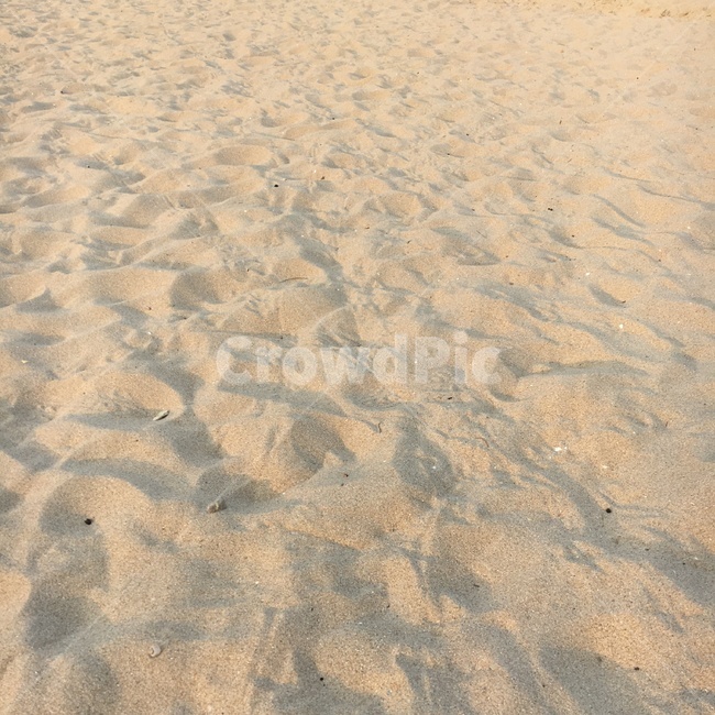 모래,햇살,발자국,해변,길,해변,바다,beach,sea