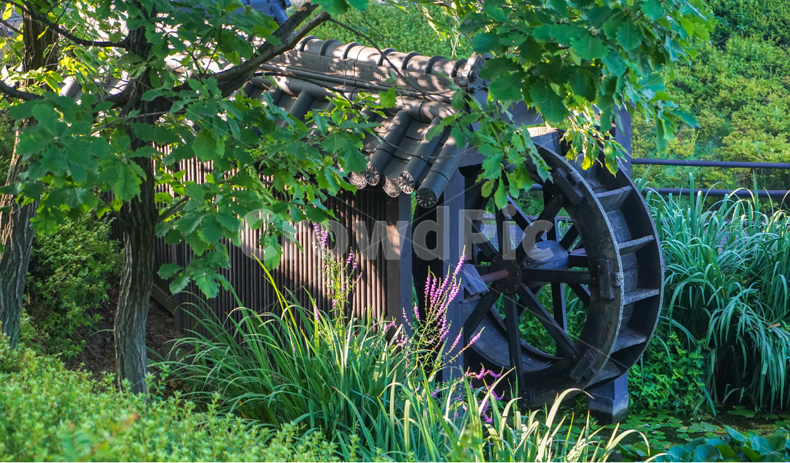 물레방아,공원,시설,들꽃,나무,풍경,자연,풍경,nature,landscape,machine,기계,wheel,바퀴