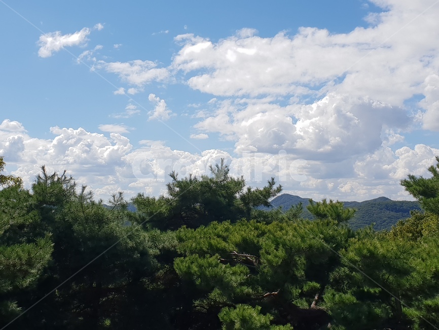 구름,자연,모양,편안함,따스함
