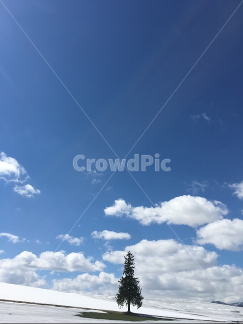 nature,자연,outdoors,azuresky,푸른하늘,sky,하늘,자연,풍경,nature,landscape