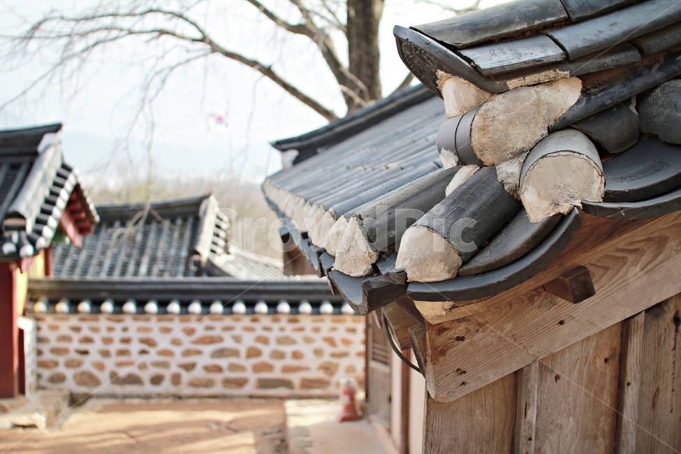 교동도,교동향교,옛건물,기와,향교,지붕,푸른하늘,경기도,섬,마을,landmark,landscape,풍경,정겨움,문화,culture,감성,건물,건축,한국전통,한국문화,korean traditional,korean culture,건축물,건물외관,exterior,building,structure,architecture,construction