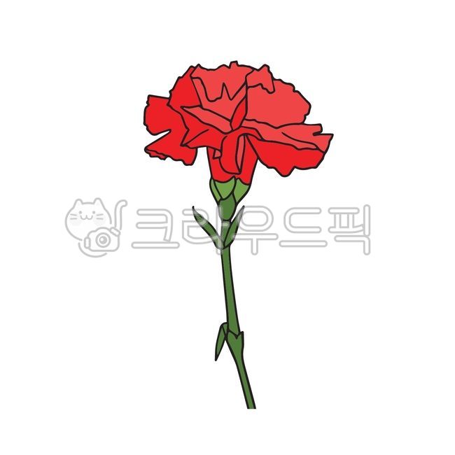 Teachers day,Parents Day Card,carnation,Mothers Day,Carnation illustration,flower,red flower