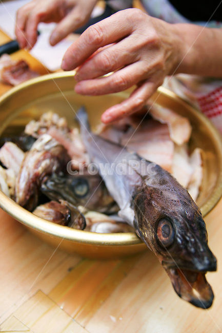 동태,생선,코다리,명태,물고기,fish,pollack,frozenpollack