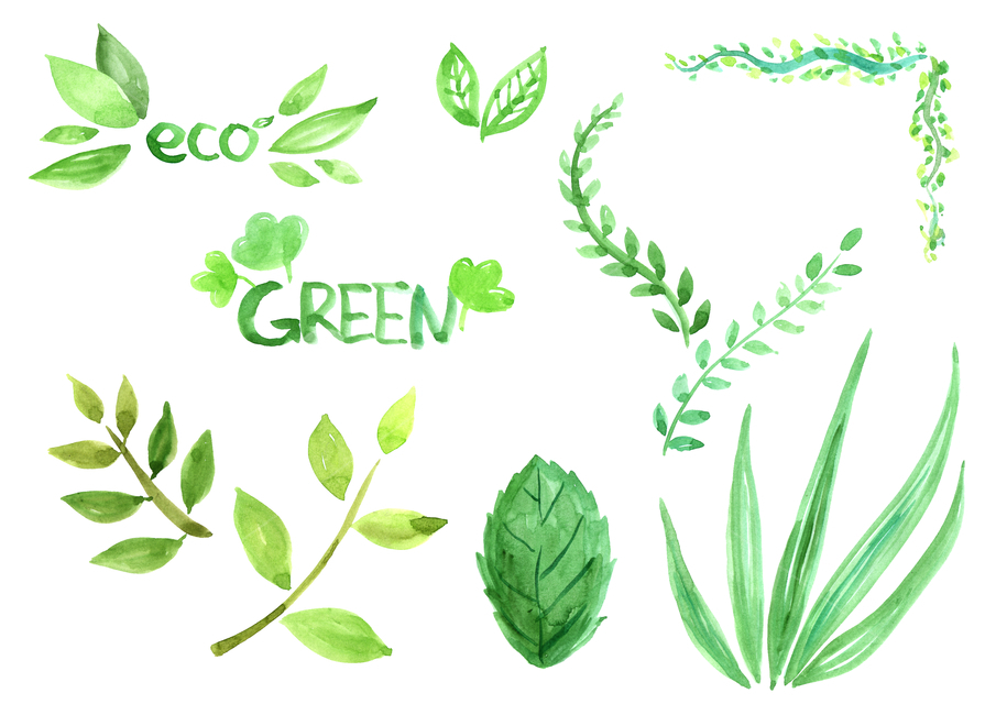 허브,잎,나뭇잎,에코,pottedplant,화분,plant,식물,pottery,병장식,herbs,planter,herbal,허벌,leaf,green,손그림,수작업,일러스트