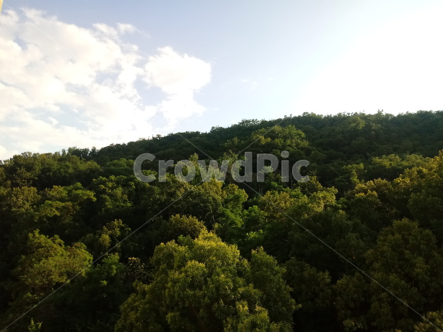 산,초록,자연,햇살,여름