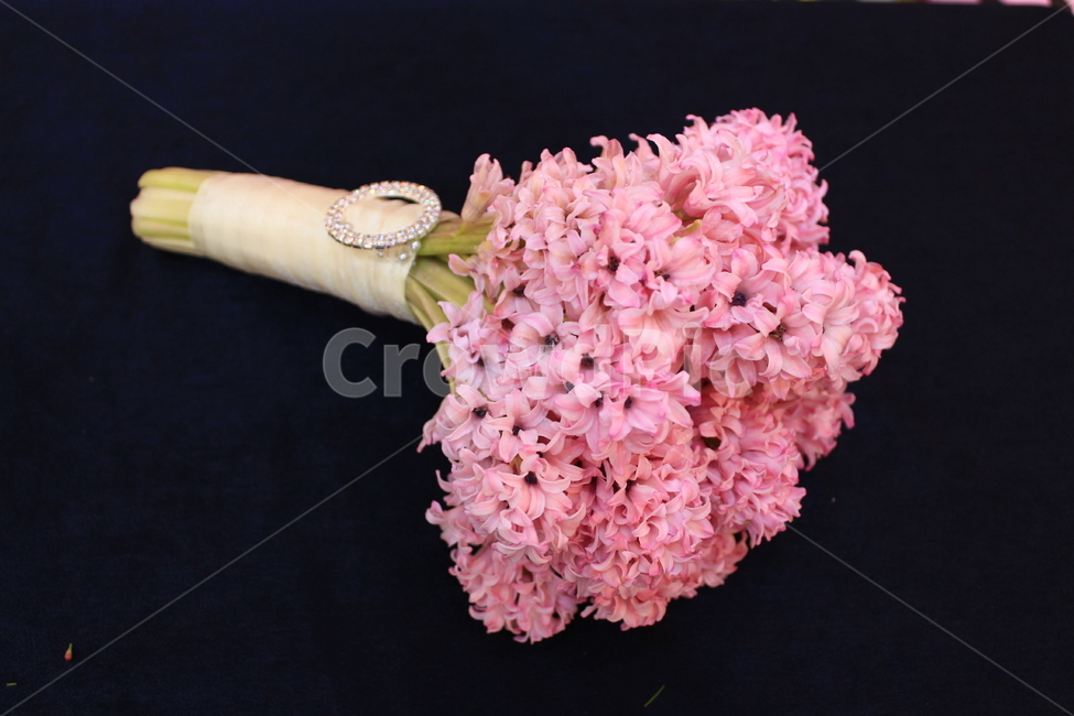부케,웨딩,bouquet,꽃다발,flowers,blossom,wedding,weddingceremony,marriage,꽃,히아신스,히아신스부케,꽃,flower,결혼,혼례,웨딩,wedding,marriage,marry