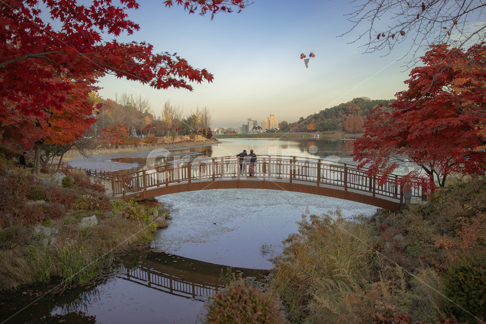 가을,공원,다리,단풍,호수,풍경,설봉공원,가을,계절,fall,autumn,season,자연,풍경,nature,landscape,사람,인물,인간,human,person,연인,커플,사랑,lover,couple,water,물,outdoors,옥외
