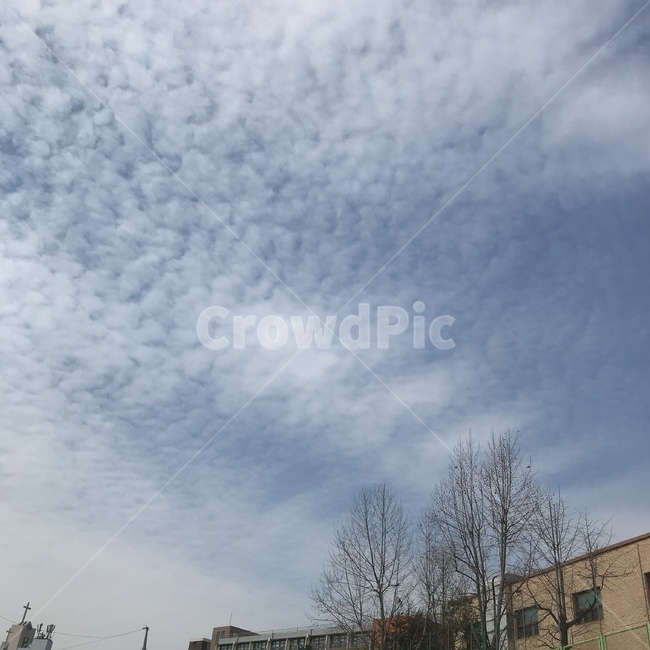 하늘,sky,nature,자연,구름,cloud