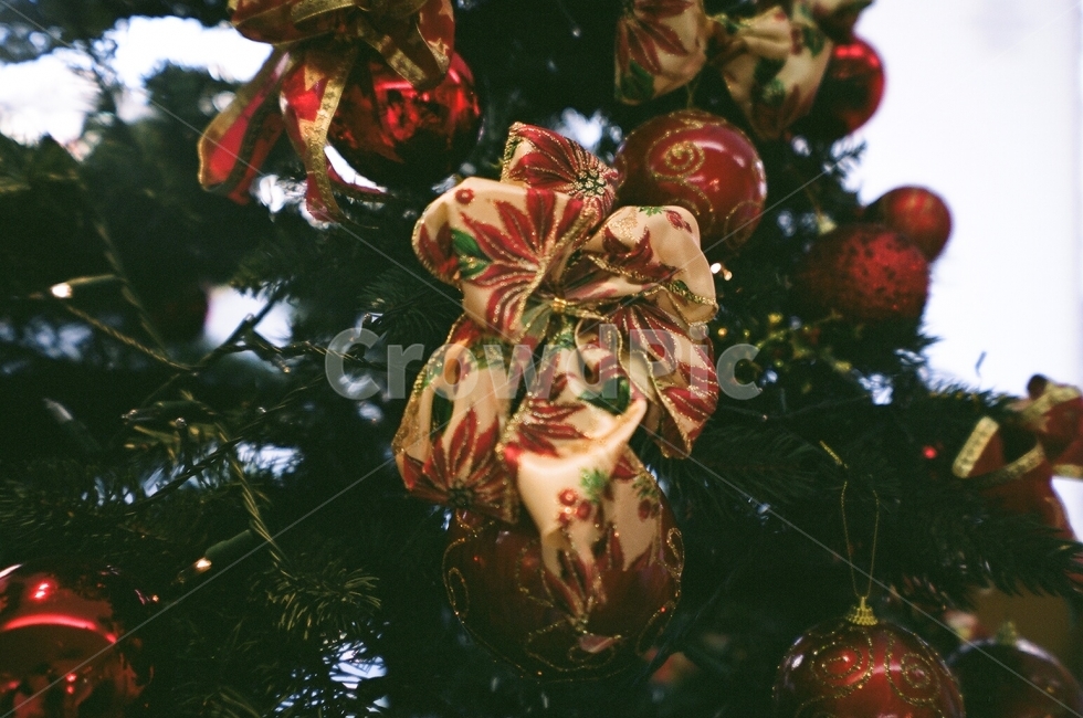 산타클로스,12월,크리스마스,겨울,winter,눈,snow,색감,christmas,빨강,red,겨울,계절,winter,season,기념일,축하,anniversary,congratulation,celebrate,celebration,메리크리스마스,성탄절,merry christmas,사물,물건,오브젝트,thing,object,matter
