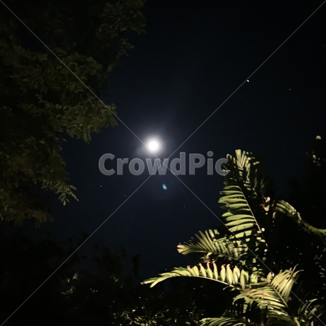 nature,자연,밤,하늘,밤하늘,달,moon