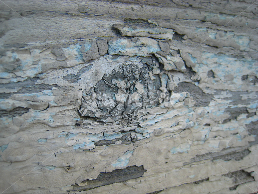 나무,배경,벽,바탕,나무무늬,background,wall,wallpaper,파란,blue,텍스처,질감,패턴,texture,pattern