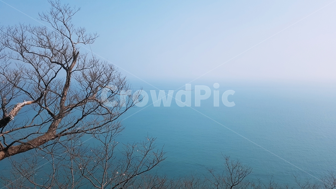 나무,맑음,날씨,풍경,자연,하늘,바다,자연,풍경,nature,landscape,outdoors,옥외