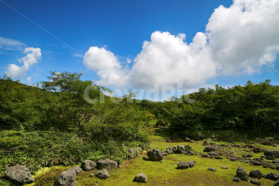 제주도,한라산,1100고지,한라산풍경,1100고지풍경,산,nature,자연,옥외,outdoors,자연,풍경,nature,landscape