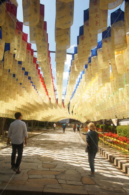 사람,보행자,building,소원등,건축물,사찰,사찰입구