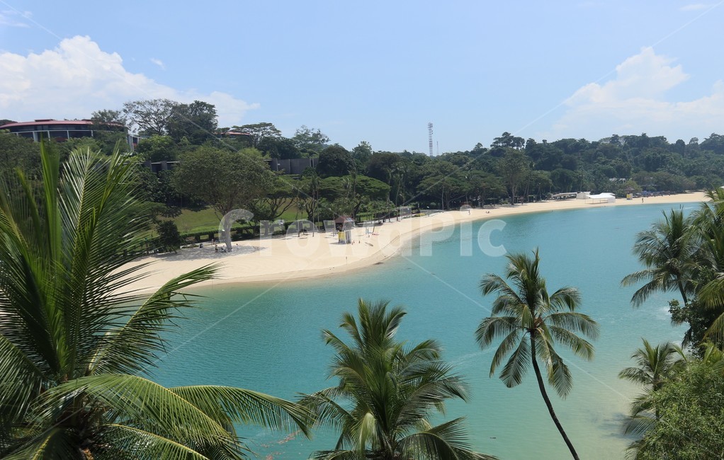 바다,나무,싱가폴,해변,하늘,자연,풍경,nature,landscape,해변,바다,beach,sea,summer,여름,outdoors,옥외,land,땅,ocean,대양,water,물,shoreline,해안선