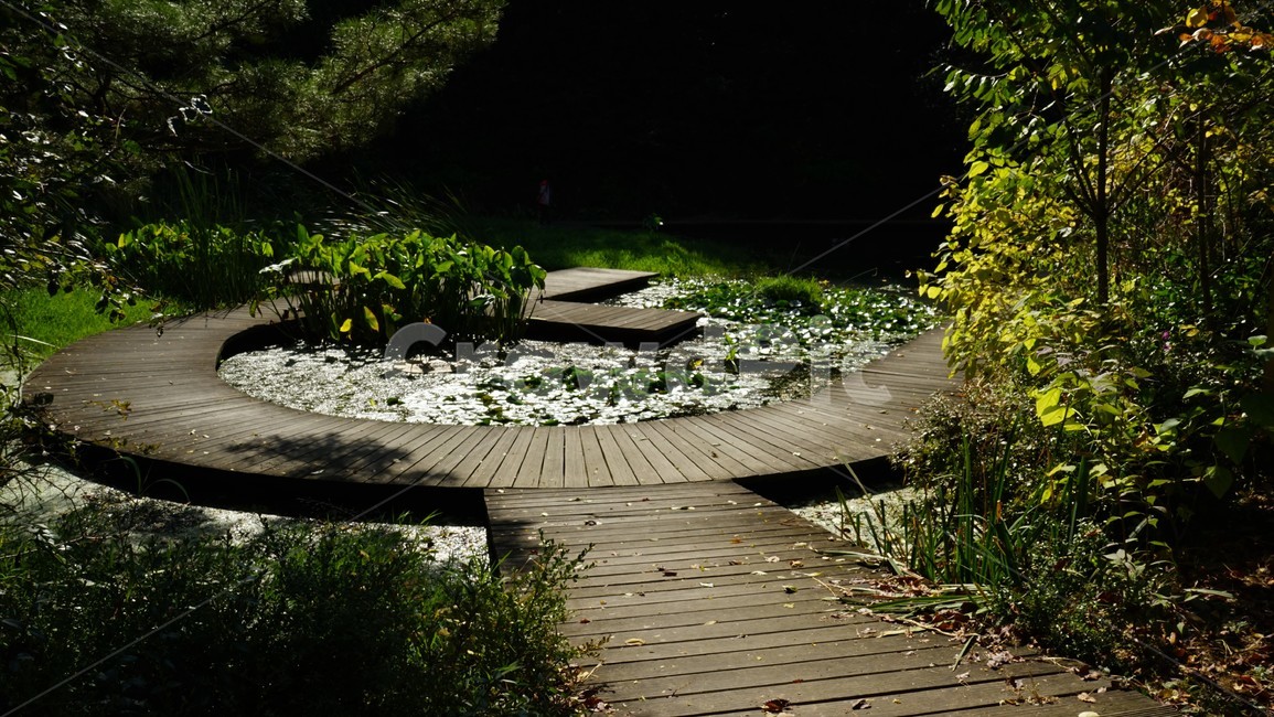 방죽,자연,인공,수련,물,나무,nature,round,water,artificiality,자연,풍경,nature,landscape,bridge,다리,boardwalk,산책로,building,건물