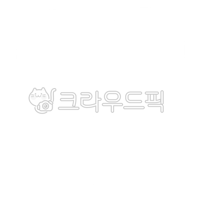 하트,사랑,러브,귀여운하트,아이콘,하트아이콘,포인트하트,포인트,귀여운,흰색하트,화이트하트,포근한,말랑말랑