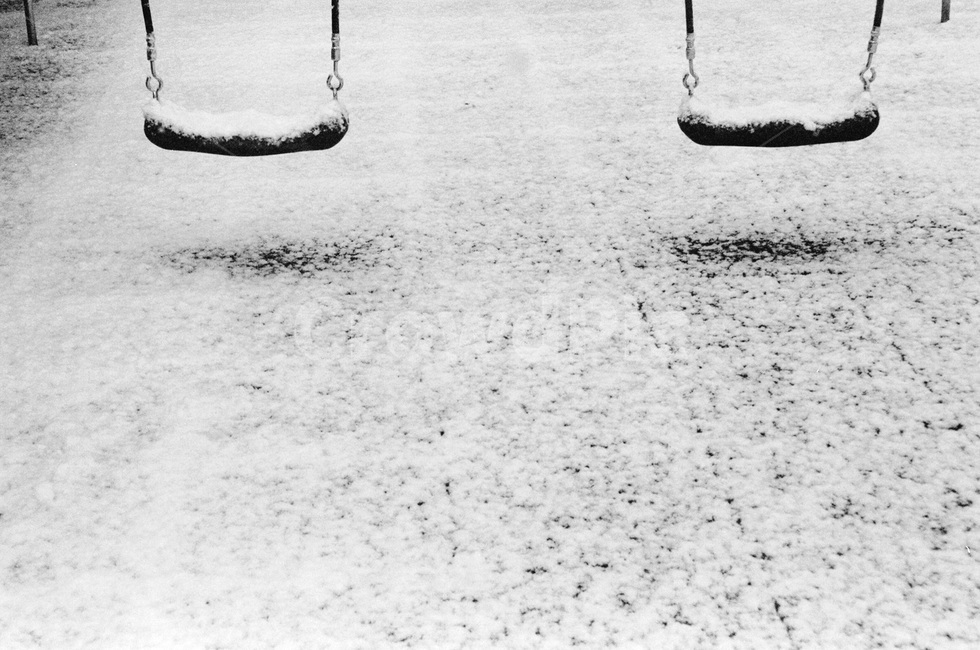 눈오는날,눈오는풍경,겨울풍경,겨울,눈,화이트,snow,white,겨울,계절,winter,season,자연,풍경,nature,landscape,감성,sensible,feeling