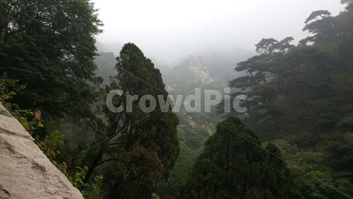 태산,풍경,자연,산,아침