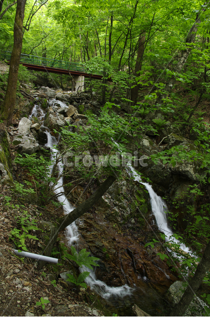 계곡,강,나무,숲,초록,자연,풍경,nature,landscape,water,물,outdoors,옥외,river,waterfall,폭포