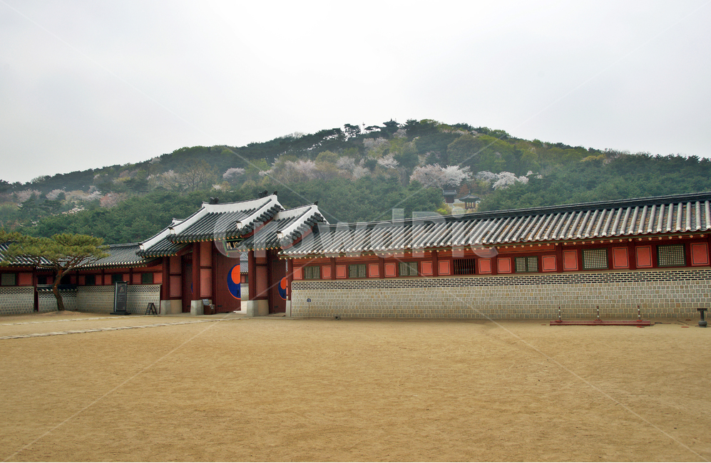좌익문,중삼문,정조,화성,행궁,수원,고건축,전각,팔달산,한국전통,한국문화,korean traditional,korean culture,랜드마크,landmark,tourist attraction,한국랜드마크,한국관광지,한국명소,korea landmark,korea tourist attraction
