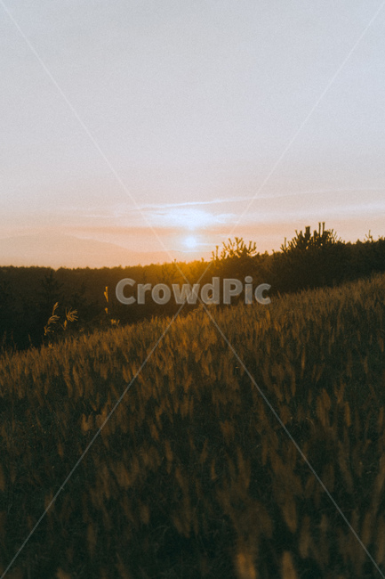 sunlight,햇빛,nature,자연,flare,플레어,light,빛,outdoors,옥외,sky,하늘,dusk,황혼,sunset,일몰,redsky,붉은하늘,노을,자연,풍경,nature,landscape