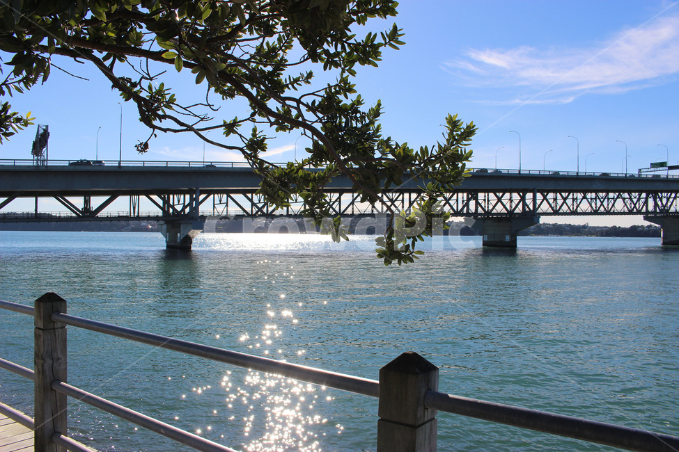 railing,banister,handrail,난간,다리,bridge,나무,tree,sea,바다,산책로,하늘,구름