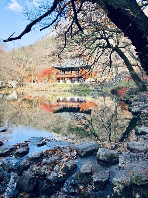단풍,하늘,절,물거울,가을,백양사,자연,풍경,nature,landscape,한국자연풍경,한국자연경관,korea nature landscape,outdoors,옥외,water,물