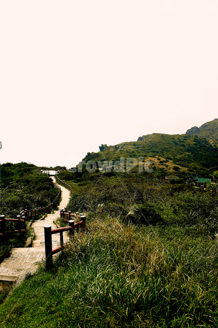 outdoors,옥외,nature,자연,road,도로,제주도,jeju,jeju island