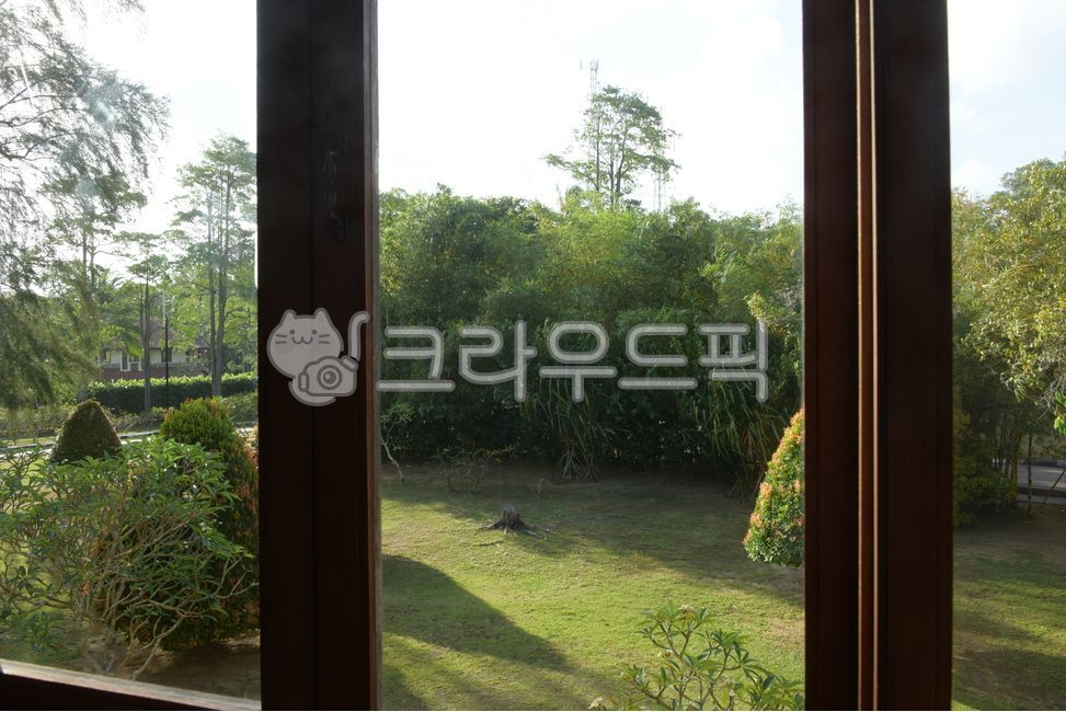 outside,sight,tree,garden,window,window frame,Scenery outside the window
