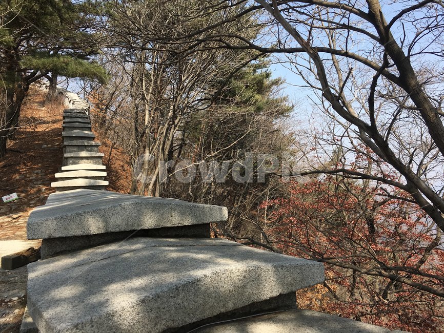 돌,돌벽,나무,북한산,풍경,자연