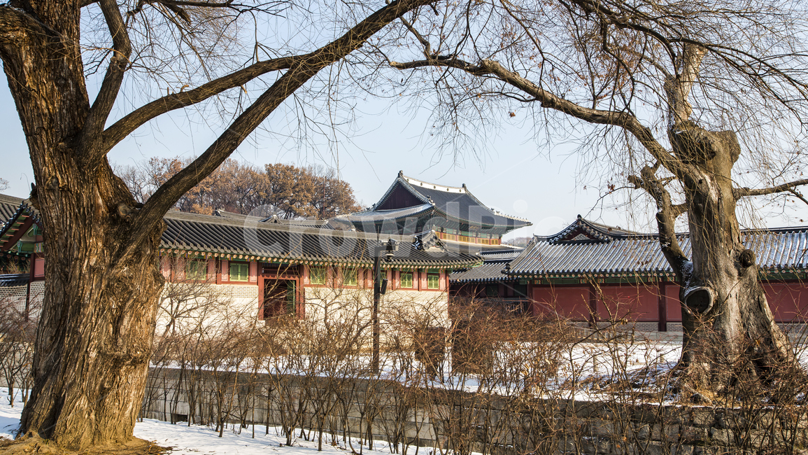 고궁,역사,서울,창덕궁,비원,조선,겨울,계절,winter,season,한국전통,한국문화,korean traditional,korean culture,랜드마크,landmark,tourist attraction,한국랜드마크,한국관광지,한국명소,korea landmark,korea tourist attraction,건축물,건물외관,exterior,building,structure,architecture,construction