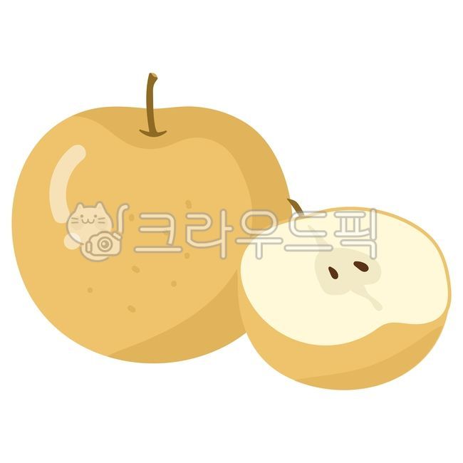 과일,배,과일일러스트,과일그림,가을과일,계절과일,fruit