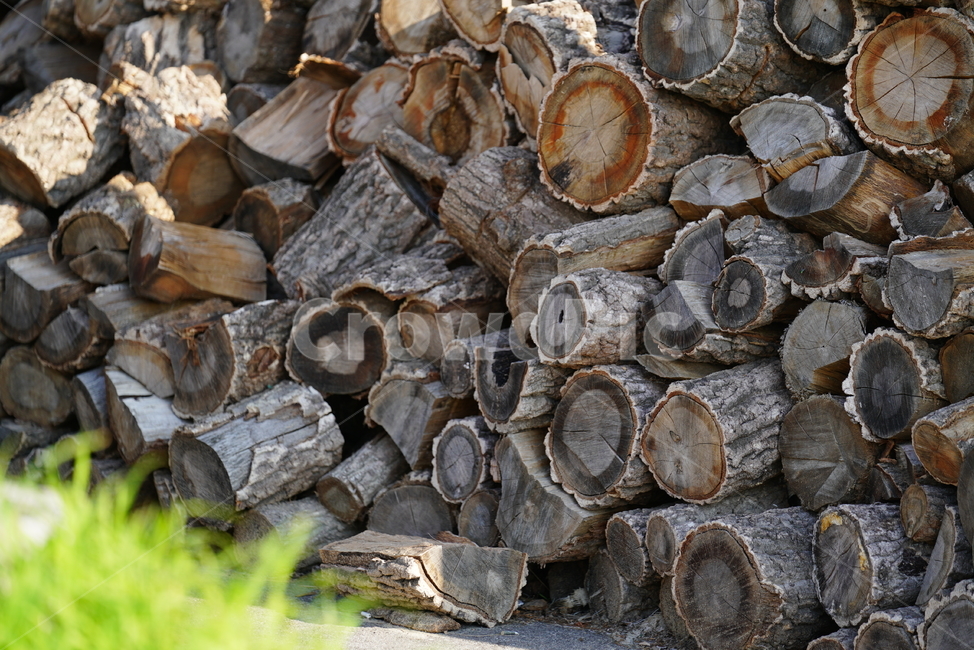 나무,목재,뗄감,wood,장작,재목