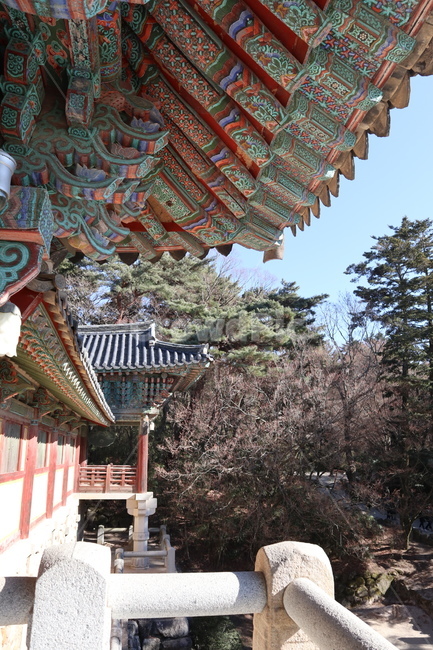 불국사,겨울불국사,전통건축물,한옥,전통사찰,절