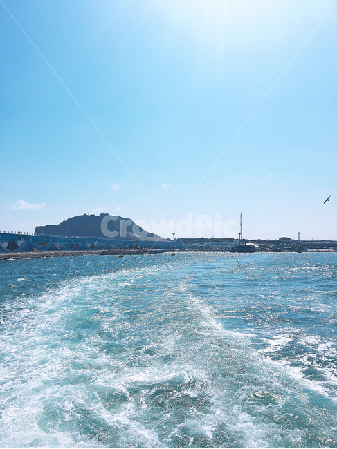갈매기,바다,너울,파도,물,nature,sea