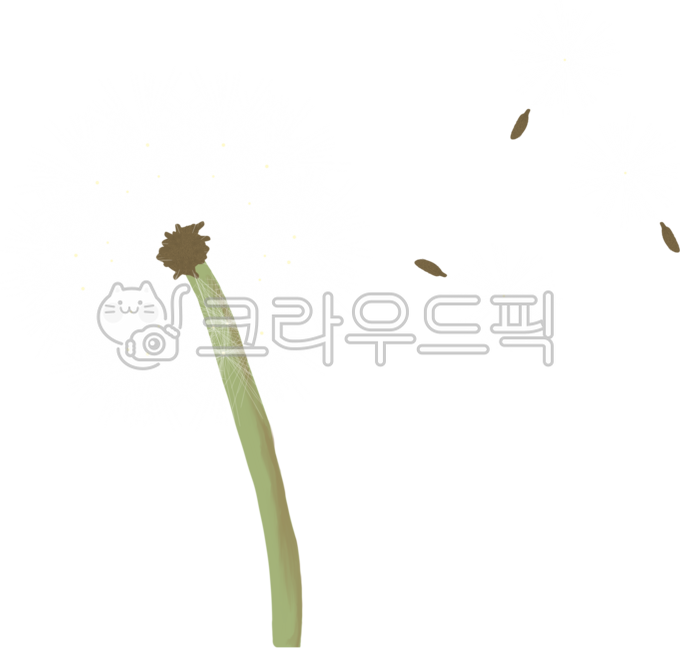 민들레홀씨,홀씨,민들레,민들레꽃,씨앗,꽃씨앗