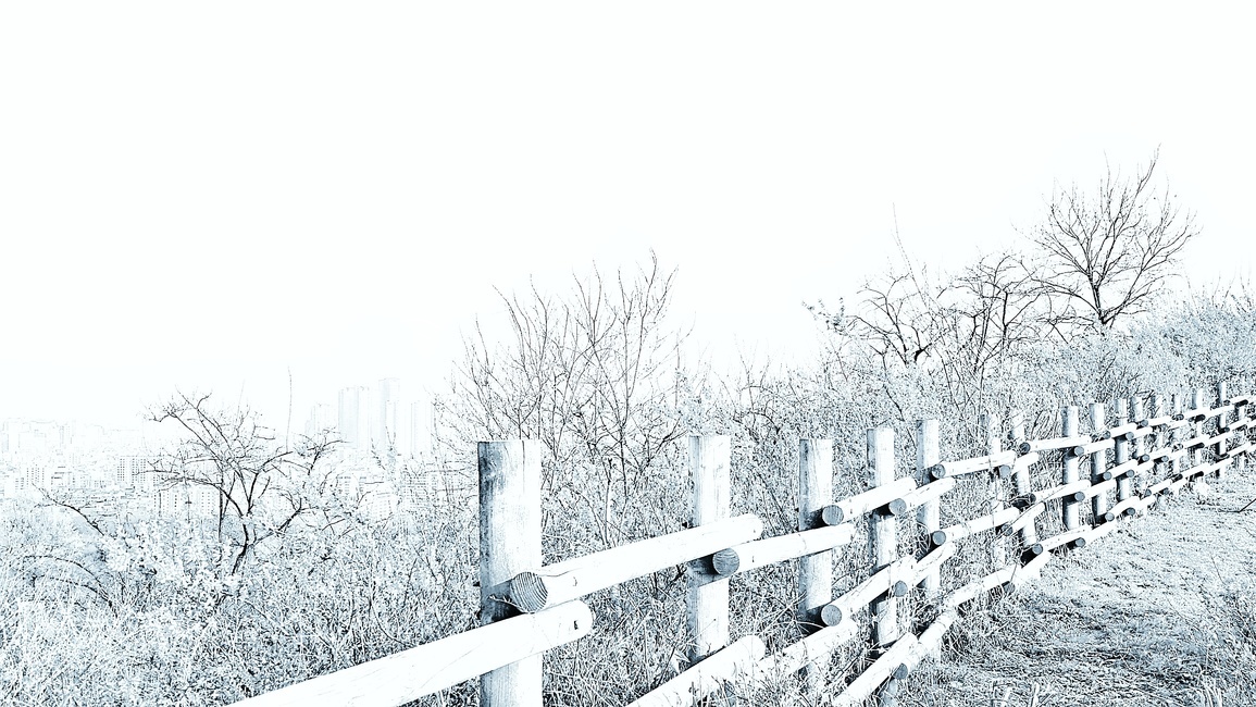 울타리,풍경,감성,자연,나무,nature,스케치,풀,trees,sky,fence,wood,landscape,경계,목장