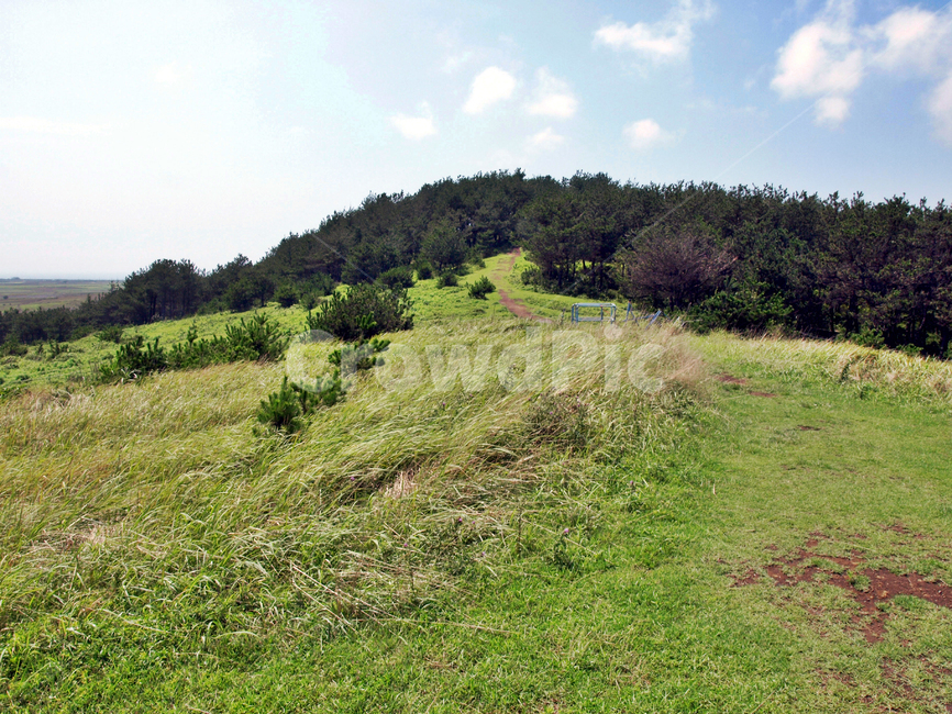 섯알오름,기생화산,올레10코스,올레,서귀포시,제주,오름,자연,풍경,nature,landscape,제주도,jeju,jeju island,field,들,outdoors,옥외,grassland,목초지