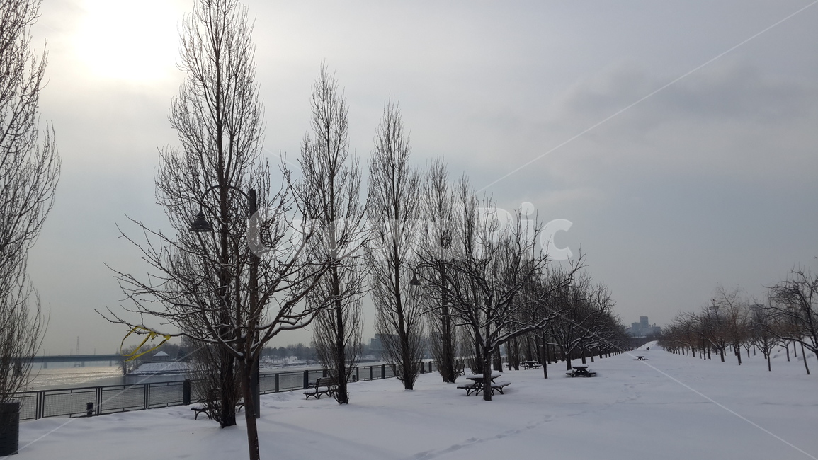 캐나다,나무,강,겨울,벤치,눈길,겨울,계절,winter,season,자연,풍경,nature,landscape,outdoors,옥외
