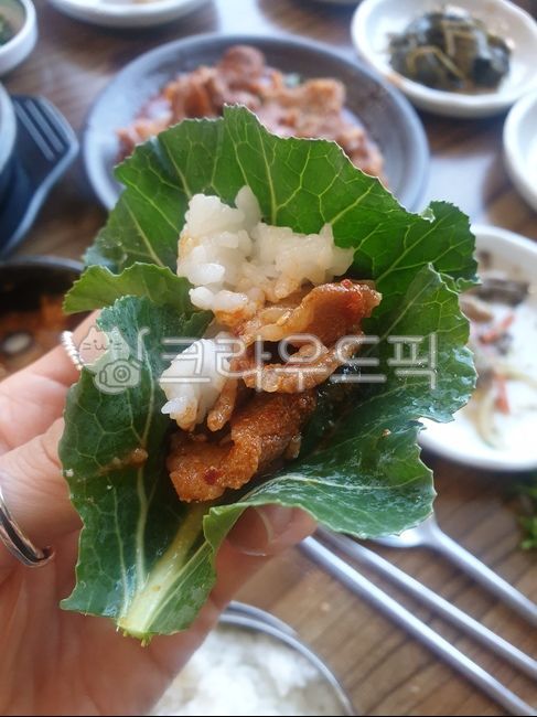 고기쌈,상추쌈,쌈싸먹기,고기,쌈밥