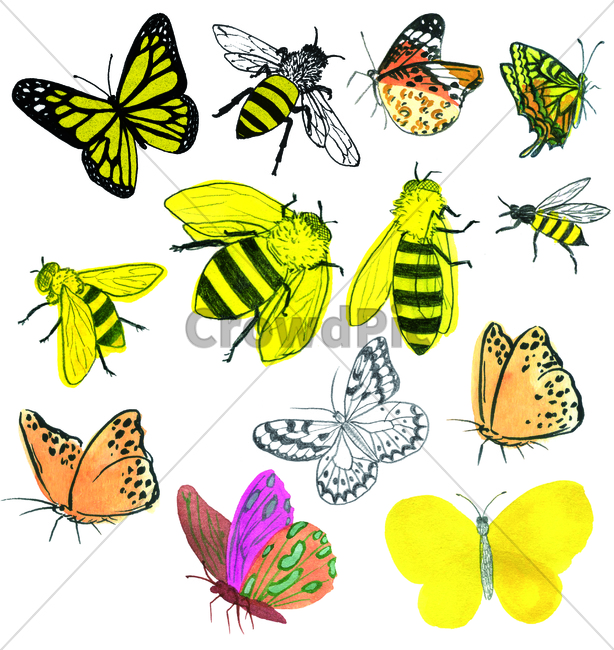 insect,곤충,animal,동물,invertebrate,무척추동물,벌,나비,나비그림,벌그림,곤충그림,노랑색,꿀벌,호랑나비,노랑나비,손그림,물감그림,bug,곤충,벌레,insect,bug,그래픽,일러스트레이션,graphic,illustration