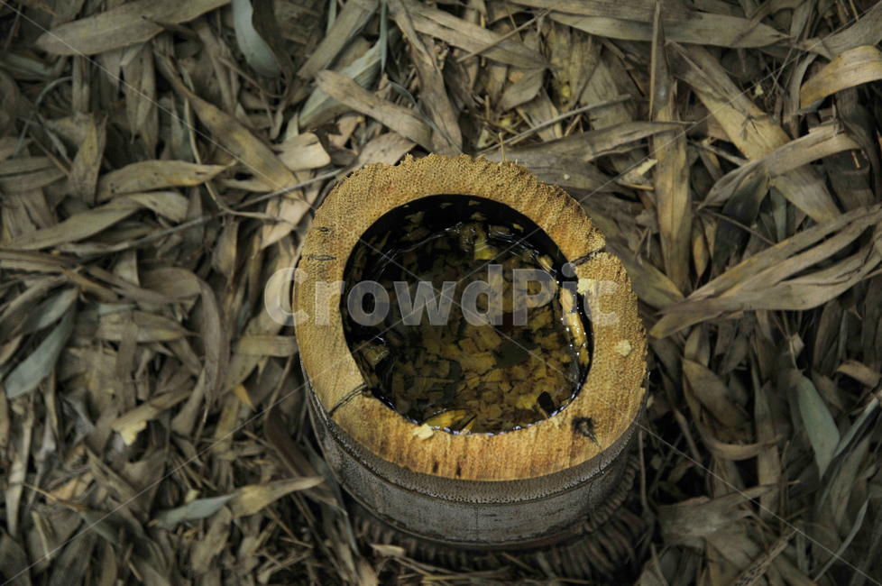 대나무,대나무밑둥,큰대나무,bamboo,대나무뿌리