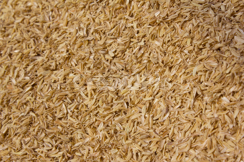 close up,nature,texture,skin,dry,crops,rice,brown,rice bran,grains,ear,plant,grain,Rice seeds,husks,chaff