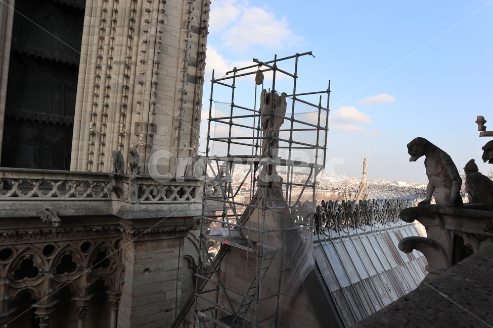 fly,Notre Dame Cathedral,Paris city,belfry,The Hunchback of Notre Dame,france,Notre Dame Bell Tower,Panoramic view of Paris,Notre Dame Spire,Notre Dame de Paris