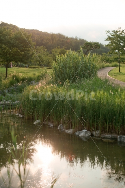 풍경,공원,식물,풀,나무,자연,풍경,nature,landscape,outdoors,옥외,land,땅,water,물,animal,동물,bird,새