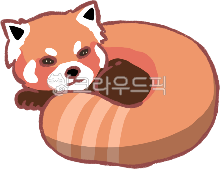 endangered,animal,red panda,Red Panda,wild animals,protect,life