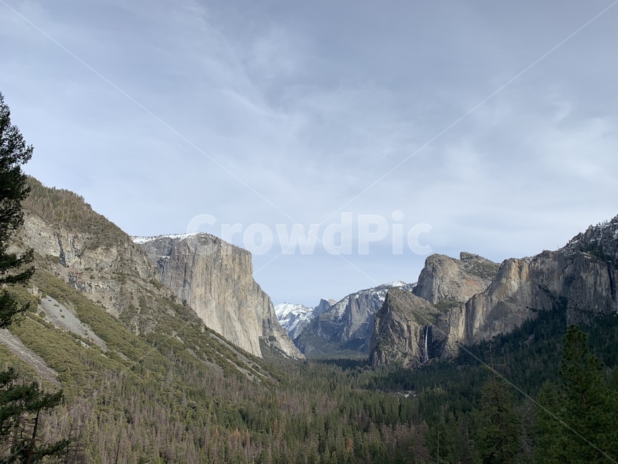 rest,forest,nature,tree,hiking,California,nationalpark,tour,Yosemite National Park,mountain climbing,healing,superb view,yosemite